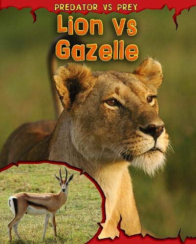 9781406221350: Lion Vs Gazelle (Predator Vs Prey)