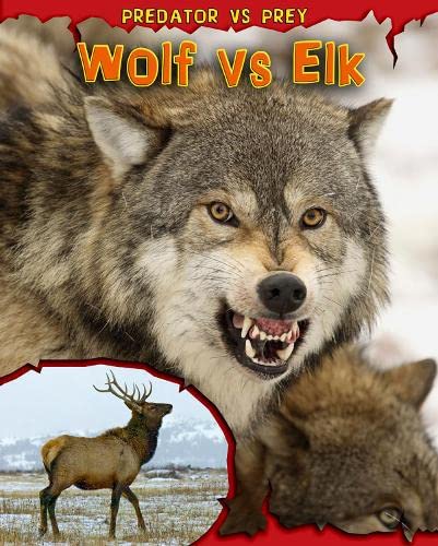 Imagen de archivo de Wolf vs Elk (Predator vs. Prey) a la venta por WorldofBooks