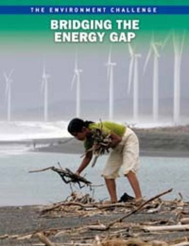 9781406228649: Bridging the Energy Gap (The Environment Challenge)