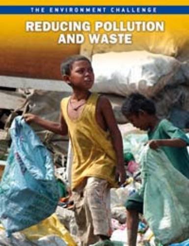 9781406228663: Reducing Pollution and Waste (The Environment Challenge)