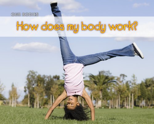 9781406229653: How Does My Body Work?