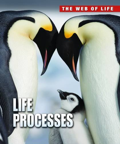 9781406232592: Life Processes (The Web of Life)