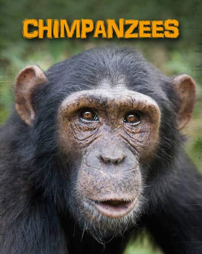 9781406233025: Chimpanzees (Living in the Wild: Primates)
