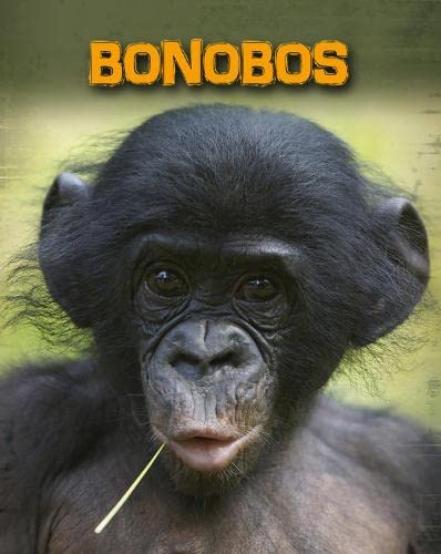 9781406233087: Bonobos