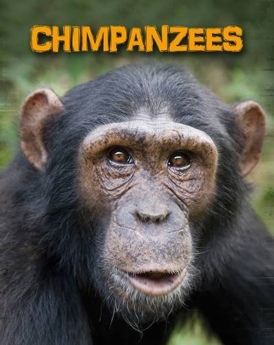 9781406233094: Chimpanzees (Living in the Wild: Primates)