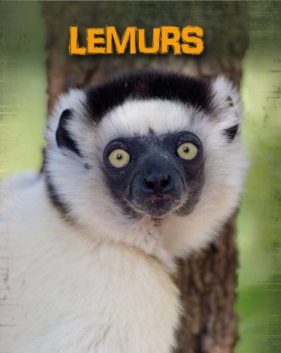 Stock image for Lemurs (Living in the Wild: Primates) for sale by Reuseabook