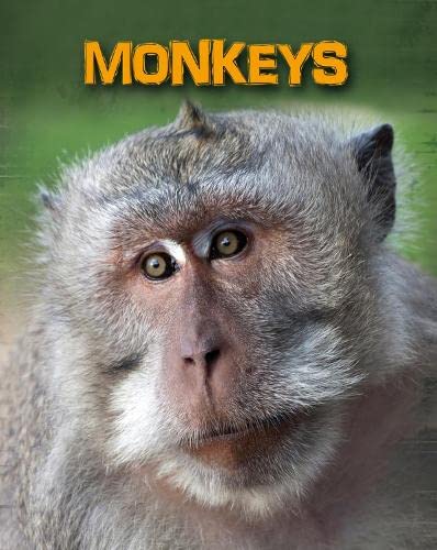 Beispielbild fr Monkeys (Living in the Wild: Primates) zum Verkauf von WorldofBooks