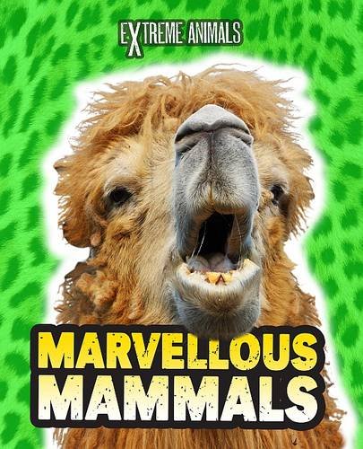 Stock image for Marvellous Mammals (Extreme Animals) for sale by AwesomeBooks