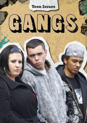 9781406238884: Gangs (Teen Issues)
