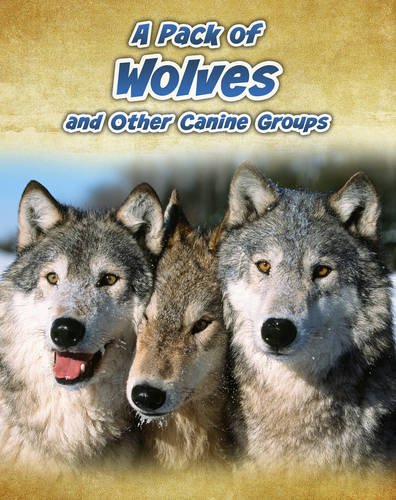 A Pack of Wolves: and Other Canine Groups (InfoSearch: Animals in Groups) (9781406239485) by Claybourne, Anna