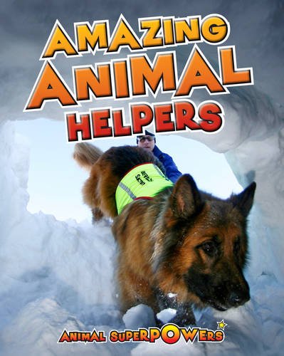 9781406241174: Amazing Animal Helpers (Animal Superpowers)