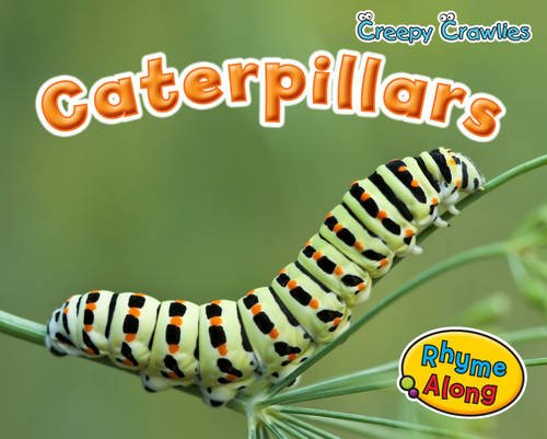 9781406241334: Caterpillars (Creepy Crawlies)