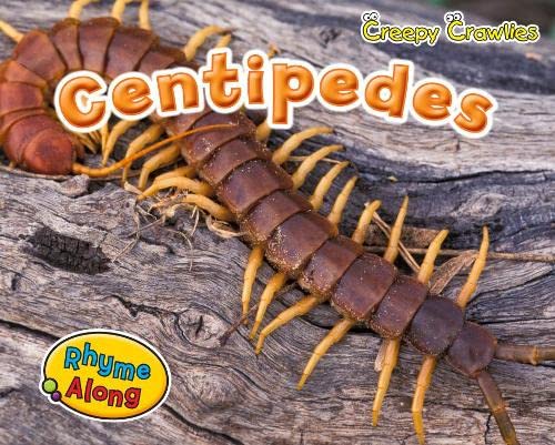 9781406241488: Centipedes (Creepy Crawlies)