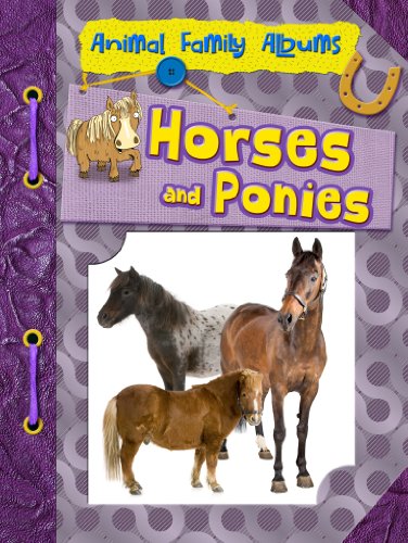 Stock image for Horses and Ponies (Animal Family Albums) for sale by WorldofBooks