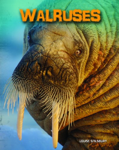 Stock image for Walruses (InfoSearch: Living in the Wild: Sea Mammals) for sale by Phatpocket Limited