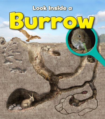 9781406251326: A Burrow (Young Explorer: Look Inside)