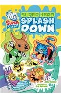 9781406252927: Super Hero Splash Down [India Test Edition]