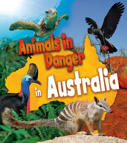 Beispielbild fr Animals in Danger in Australia zum Verkauf von WorldofBooks