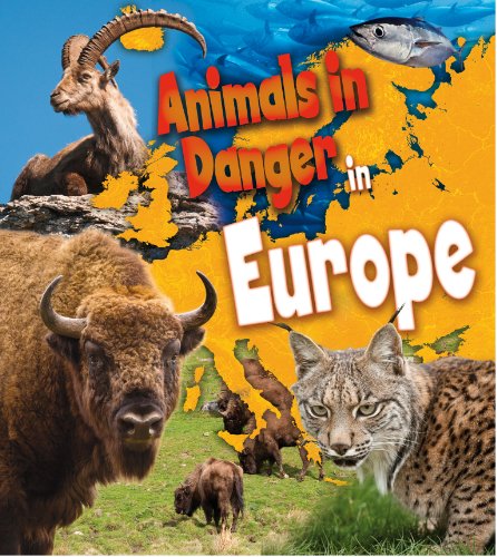 9781406262155: Animals in Danger in Europe