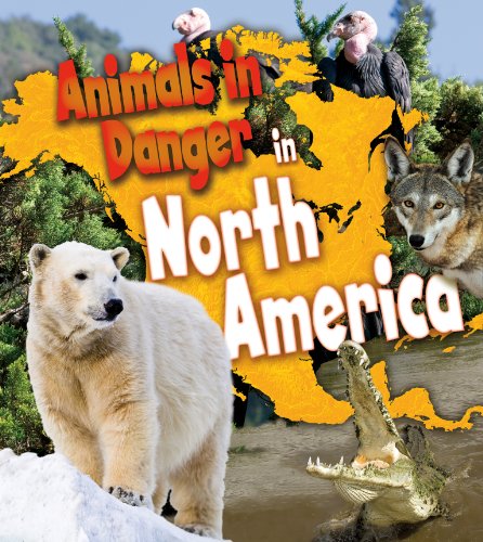 Beispielbild fr Animals in Danger in North America zum Verkauf von AwesomeBooks
