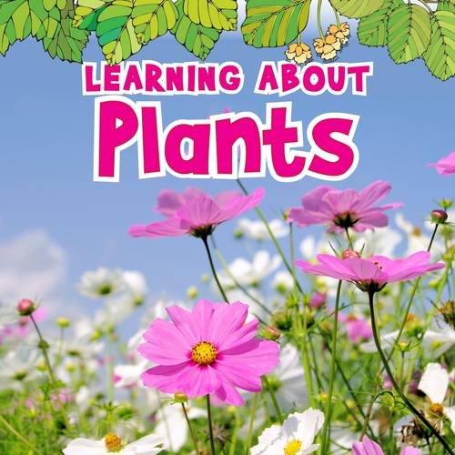 Beispielbild fr Learning About Plants (The Natural World) zum Verkauf von WorldofBooks