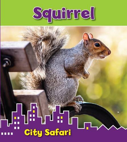 9781406271287: Squirrel: City Safari