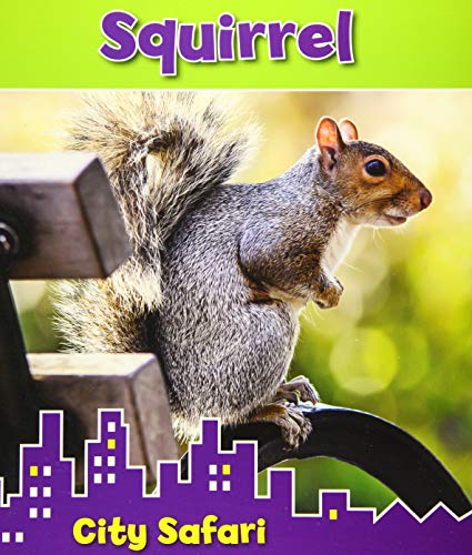Beispielbild fr Squirrel: City Safari zum Verkauf von WorldofBooks