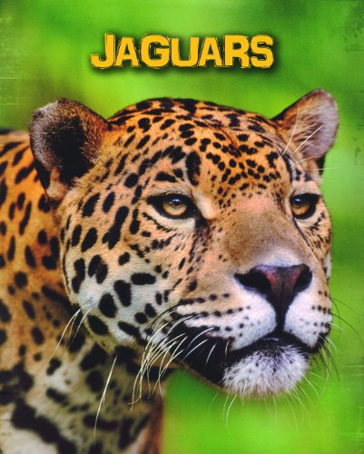 9781406273434: Jaguars (Living in the Wild: Big Cats)