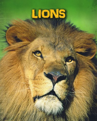 9781406273458: Lions (Living in the Wild: Big Cats)