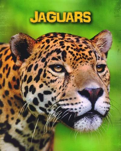 9781406273502: Jaguars (Living in the Wild: Big Cats)