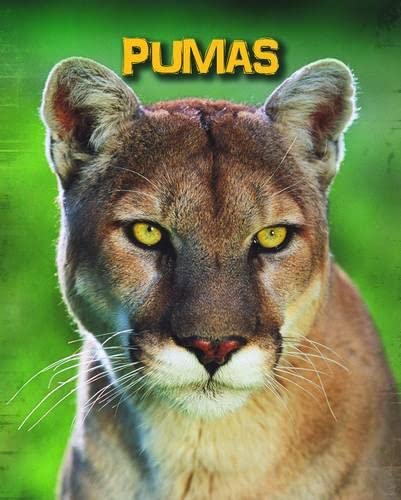 Stock image for Pumas (Living in the Wild: Big Cats) for sale by AwesomeBooks