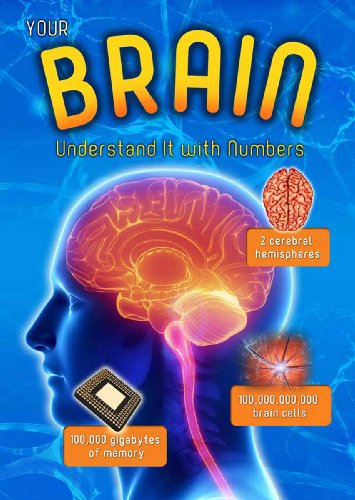 Beispielbild fr Your Brain: Understand it with Numbers (Your Body By Numbers) zum Verkauf von WorldofBooks