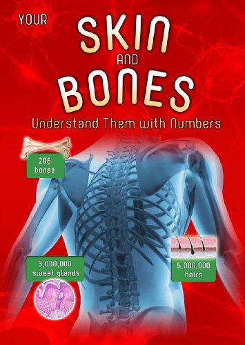 Beispielbild fr Your Skin and Bones: Understand them with Numbers (Your Body By Numbers) zum Verkauf von WorldofBooks