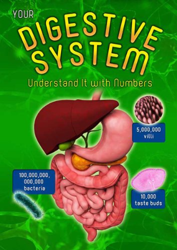 9781406274653: Your Digestive System: Understand it with Numbers