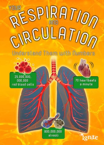9781406274660: Your Respiration and Circulation: Understand it with Numbers (Your Body By Numbers)