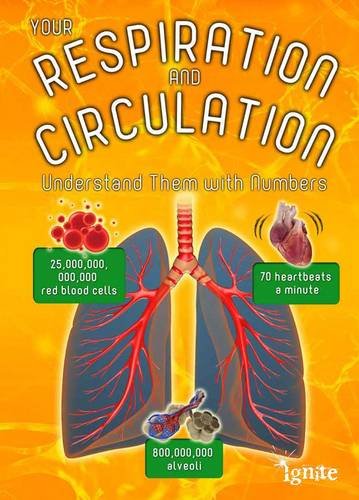 Beispielbild fr Your Respiration and Circulation: Understand it with Numbers (Your Body By Numbers) zum Verkauf von AwesomeBooks