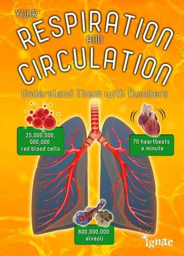 9781406274714: Your Respiration and Circulation: Understand it with Numbers (Your Body By Numbers)