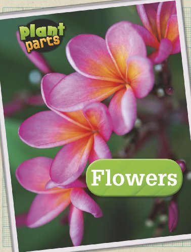 Imagen de archivo de Flowers (Plant Parts) a la venta por AwesomeBooks