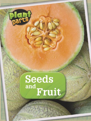 9781406274806: Seeds and Fruits (Plant Parts)