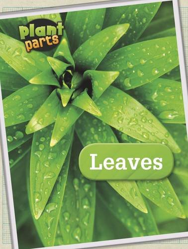 9781406274844: Leaves (Plant Parts)