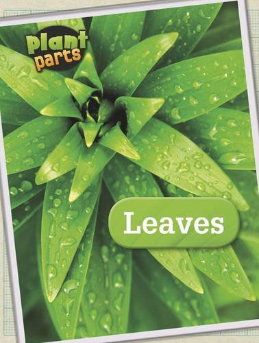 9781406274844: Leaves (Raintree Perspectives: Plant Parts)