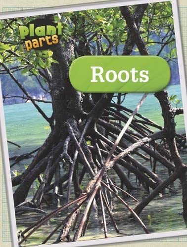 9781406274851: Roots (Plant Parts)