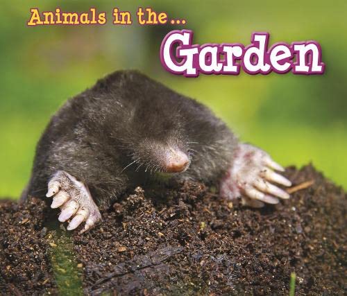 9781406280524: Animals in the Garden (Animals I Can See)