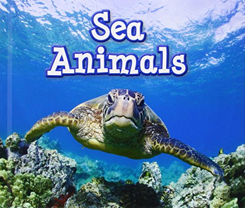 Beispielbild fr Sea Animals (Animals in Their Habitats) zum Verkauf von WorldofBooks