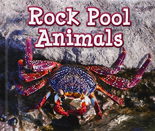 9781406280692: Rock Pool Animals (Animals in Their Habitats)