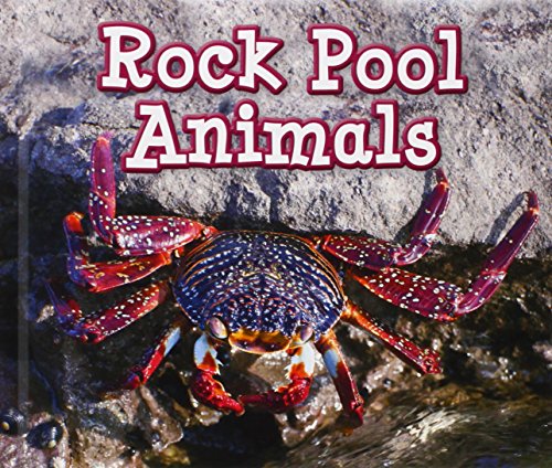 Stock image for Rock Pool Animals (Animals in Their Habitats) for sale by WorldofBooks