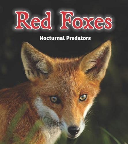 Beispielbild fr Red Foxes: Nocturnal Predators (Night Safari) zum Verkauf von AwesomeBooks