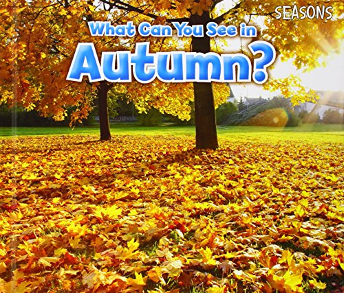 9781406283211: What Can You See In Autumn? (Seasons)