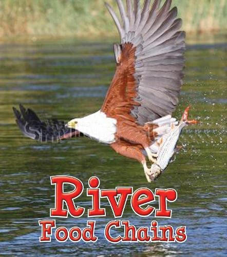 Stock image for River Food Chains (Young Explorer: Food Chains and Webs) for sale by Phatpocket Limited