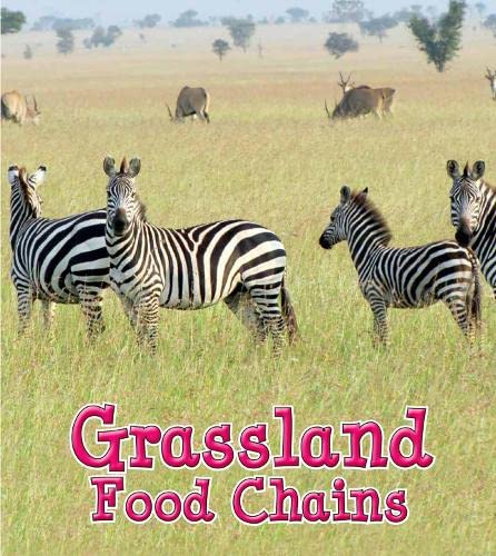 Stock image for Grassland Food Chains (Young Explorer: Food Chains and Webs) for sale by Mispah books